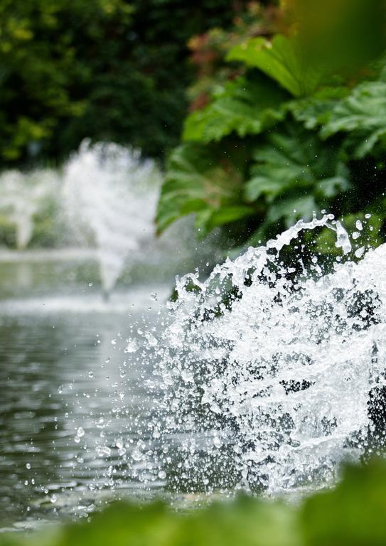 South Hinksey イーグロヴ パーク ユニバーシティ オブ オックスフォード Bed & Breakfast エクステリア 写真