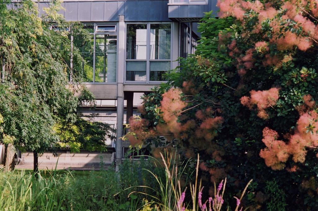 South Hinksey イーグロヴ パーク ユニバーシティ オブ オックスフォード Bed & Breakfast エクステリア 写真